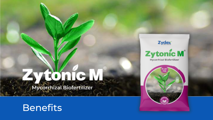 Zytonic M