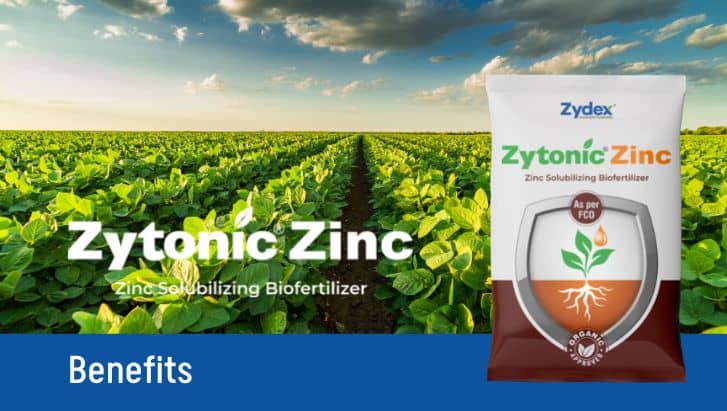 Zytonic Zinc