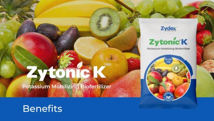 Zytonic K