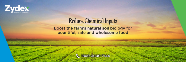 Biological farming solutions – An alternative to chemical fertilizers