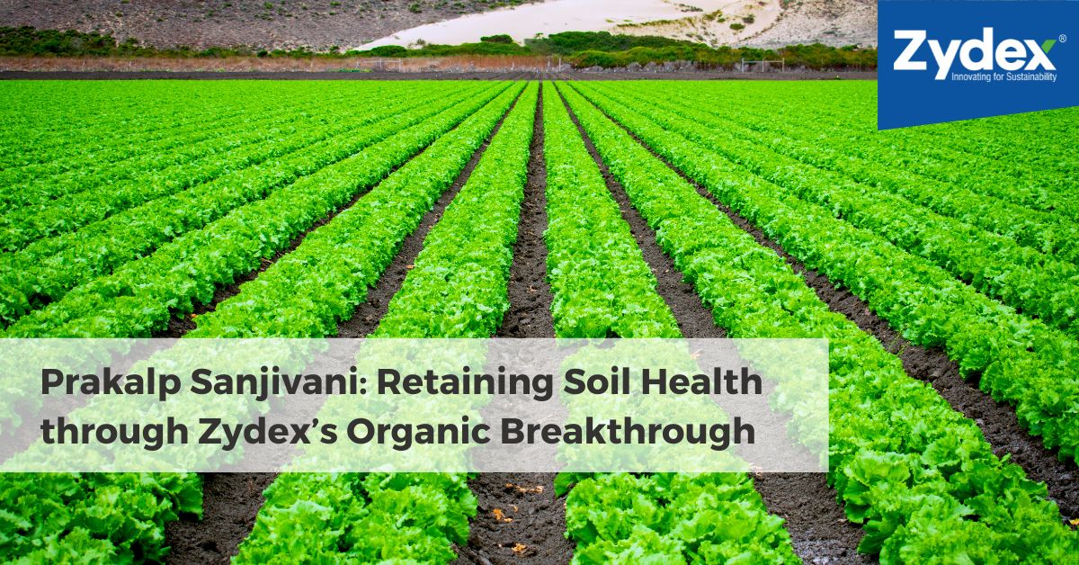 Prakalp Sanjivani: Retaining Soil Health through Zydex’s Organic Breakthrough