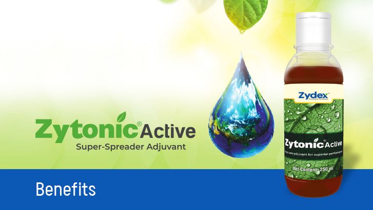 Zytonic Active Banner 29.04.25