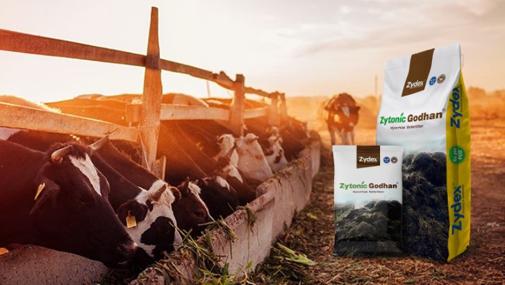 Zytonic Godhan Banner 29.04.25