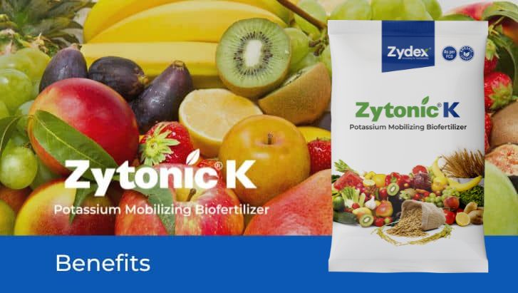 Zytonic K Banner 29.04.25