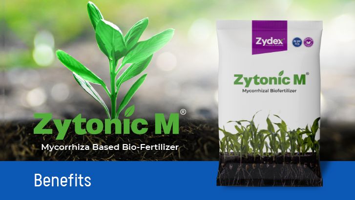 Zytonic M Banner 29.04.25