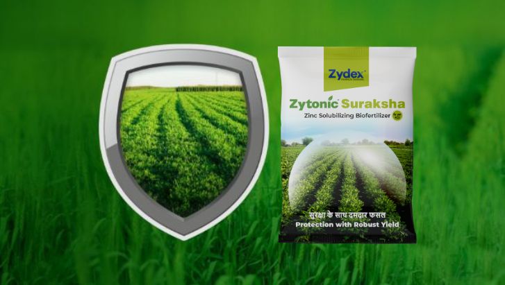Zytonic Suraksha Banner 29.04.25