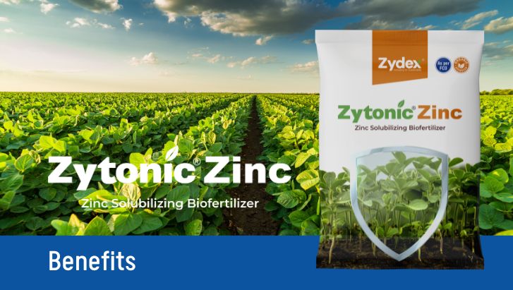 Zytonic Zinc Banner 29.04.25